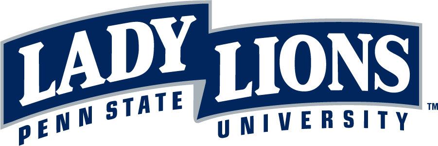 Penn State Nittany Lions 1996-2008 Wordmark Logo v4 diy iron on heat transfer